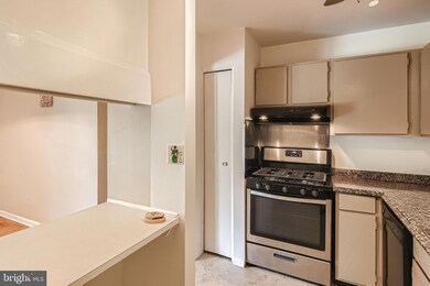 101 Fitz Ct unit 204, Reisterstown, MD 21136 - photo 5