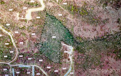 Lot 10 Dobsons Knob Loop Rd unit 10, North Cove, NC 28752 - photo 2