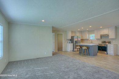 1118 Old Tar Landing Rd, Jacksonville, NC 28540 - photo 6