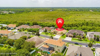 Wooded Privacy in Back