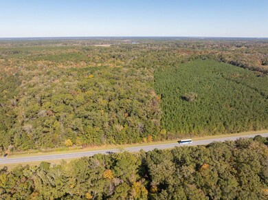 239 Trask Pkwy, Yemassee, SC 29945 - photo 2