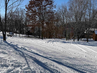 20549 Big Timber Ridge Rd, Eastman, WI 54626 - photo 2