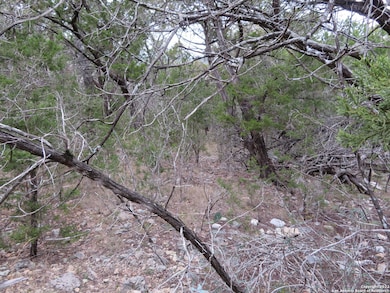 LOT 238-241 Hilltop Loop, Lakehills, TX 78063 - photo 3