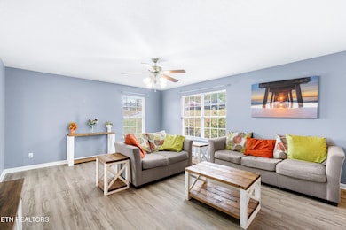 905 Patton St, Sweetwater, TN 37874 - photo 3