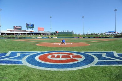 Cubs Photo 1