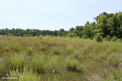 Queen Anne Bridge Rd, Davidsonville, MD 21035 - photo 4