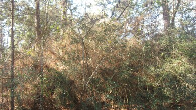 Lot 25 Lazy Hollow, Hockley, TX 77447 - photo 2