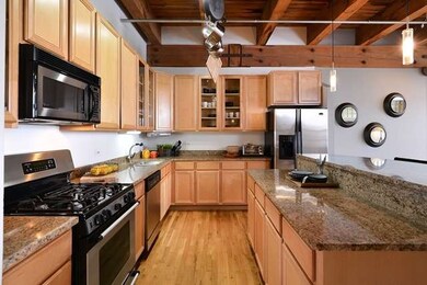 14 N Peoria St unit 5B, Chicago, IL 60607 - photo 5