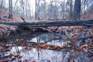 Lot 29 & 30 Staubwoods Dr, Romney, WV 26757 - photo 4