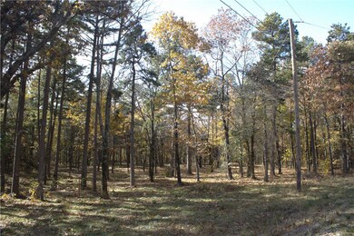 0 4540 Rd unit 1306170, Ozone, AR 72854 - photo 2