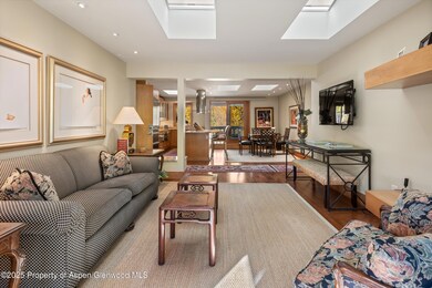 1020 E Hopkins Ave unit 9, Aspen, CO 81611 - photo 7