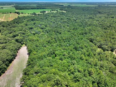 1056 Hempstead Church Rd, Pavo, GA 31778 - photo 2