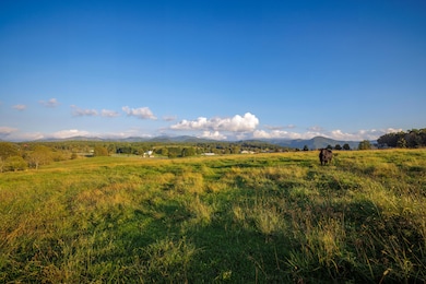 47 acres N Lee Hwy unit Rt. 11, Raphine, VA 24472 - photo 4