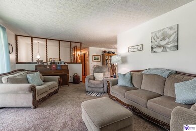 2149 Shrewsbury Rd, Leitchfield, KY 42754 - photo 7