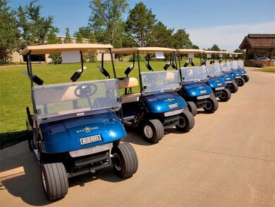 (Lot 23) Pronghorn Dr, Gordonville, TX 76245 - photo 4