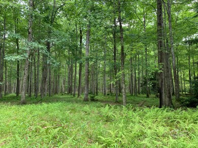 00 Elk Rd, Heath Township, PA 15860 - photo 6