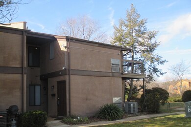 39 Newport Ct unit 254, Brick, NJ 08724 - photo 6