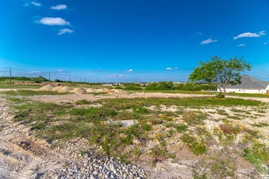 1005 Alicia Ct, Weatherford, TX 76087 - photo 4