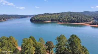 156 Little Deer Path Ln, Lafollette, TN 37766 - photo 5