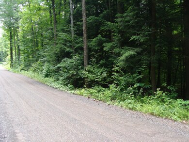 0 Old Gravity Rd unit PWB153139, Wayne County, PA 18436 - photo 4