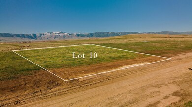 Lot 10