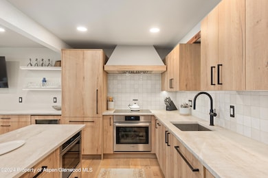 131 E Durant Ave unit 208, Aspen, CO 81611 - photo 6