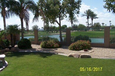 Backyard-2