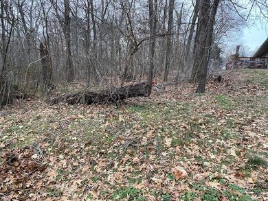 0 Billingsley Dr, Bella Vista, AR 72715 - photo 3