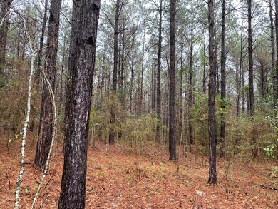 00 Maxey Rd, Laurel, MS 39443 - photo 3