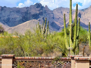 6060 N Piedra Seca, Catalina Foothills, AZ 85718 - photo 3