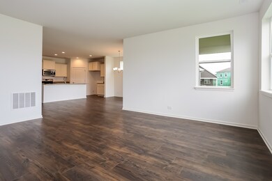 967 Americana Ct, Pingree Grove, IL 60140 - photo 7