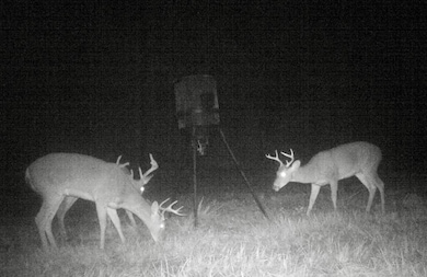 0 Mcleod Rd, Luverne, AL 36049 - photo 3