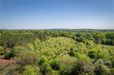 7137 Reeps Grove Church Rd, Vale, NC 28168 - photo 5