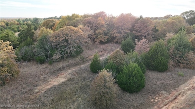 Tract 2 Acme Rd, Asher, OK 74826 - photo 7