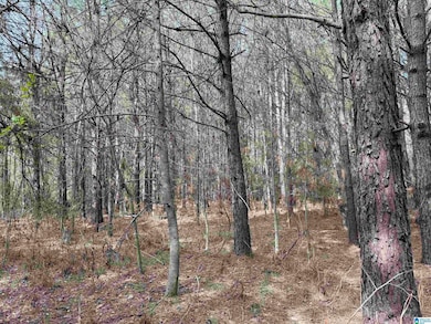 0 Wallace St unit 1, Sylacauga, AL 35151 - photo 7