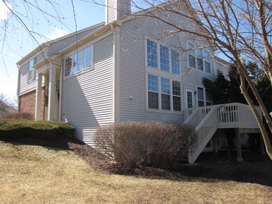 Exterior Back