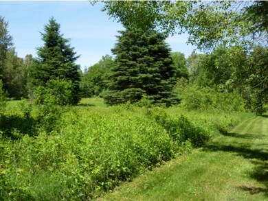 Lot 14 A Crescent Beach Extension, Morgan, VT 05853 - photo 6