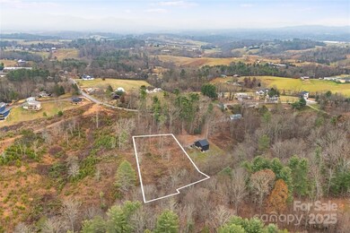 9999 Gizmo Trail, Leicester, NC 28748 - photo 6