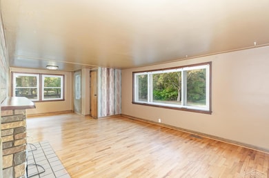 10001 Carr Rd, Saint Charles, MI 48655 - photo 4