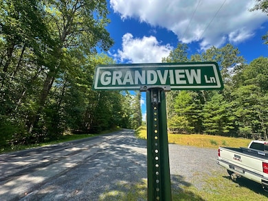 0 Muddy Creek Mountain Rd, Lewisburg, WV 24901 - photo 4