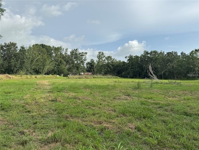 13930 Sweat Loop Rd, Wimauma, FL 33598 - photo 3