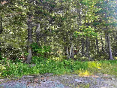 397 Stowe Hill Rd, Wilmington, VT 05363 - photo 6