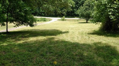 Front Yard Looking Down Toward the Road.