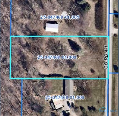 2701 County Road 4-1, Swanton, OH 43558 - photo 2