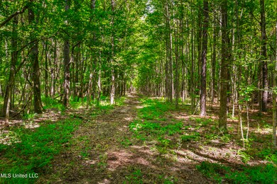Spring Rd-6