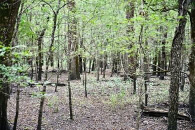 TBD W Fm 71, Talco, TX 75487 - photo 6