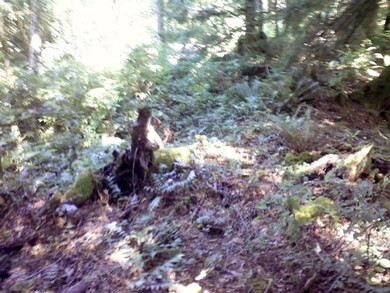 28 Mt Index Dr, Index, WA 98256 - photo 4