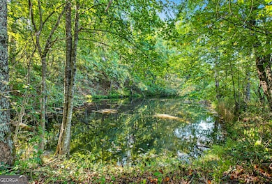 221 Mcallister Rd, Cornelia, GA 30531 - photo 7