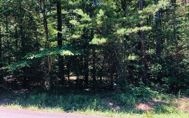 Additional View