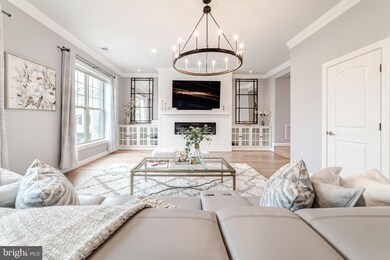 22203 Falling Terrace, Ashburn, VA 20148 - photo 3